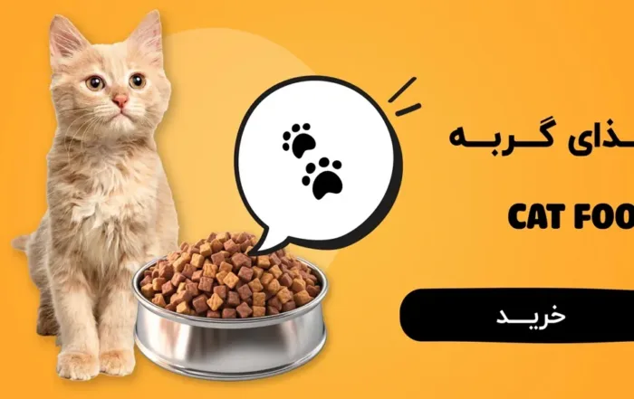 سایت پت شاپ اختصاصی